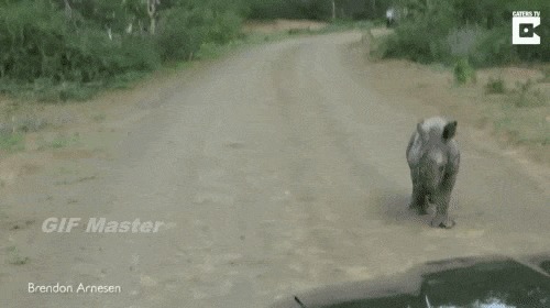 ,  !)