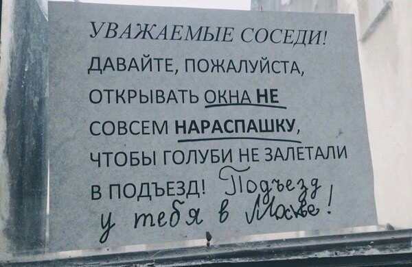 Это Питер, детка - Санкт-Петербург, Подъезд, Москва