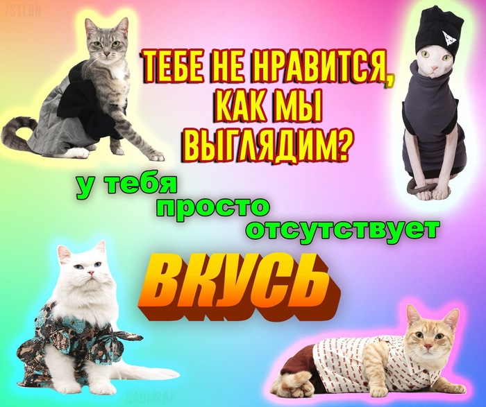 Понятно? - Пост, Кот, Кусь