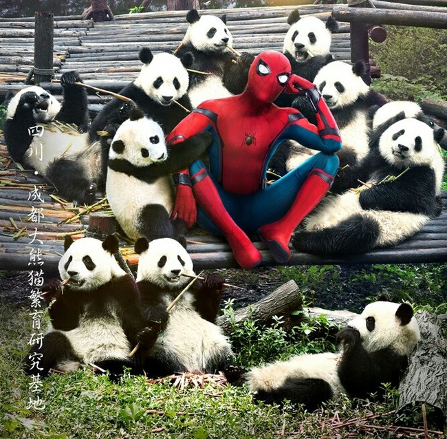 �����-�� � ��������� (26�������)