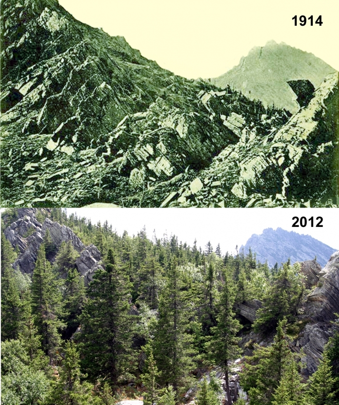 A good example of climate change: for 100 years, the bald Ural Mountains have become overgrown with forest - The mountains, Climate, Ural, The photo, Chelyabinsk region, Longpost