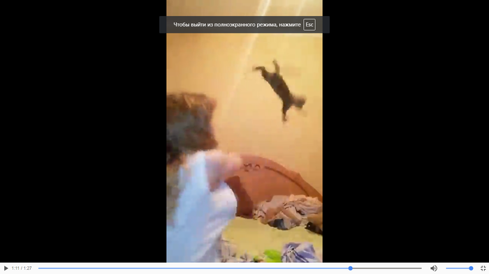 �� ������ [SHIT]�����