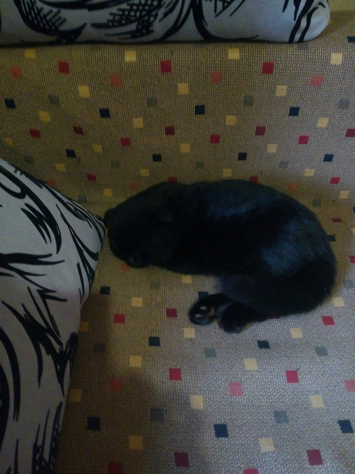     , , 