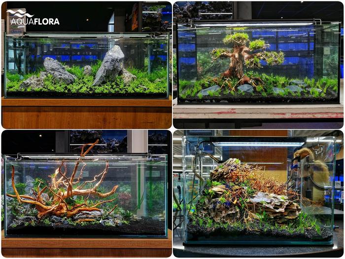 Фото с конкурса