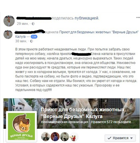 How the women who defended the dog were beaten - Kaluga, , Animal defenders, Animals, Inadequate, Longpost