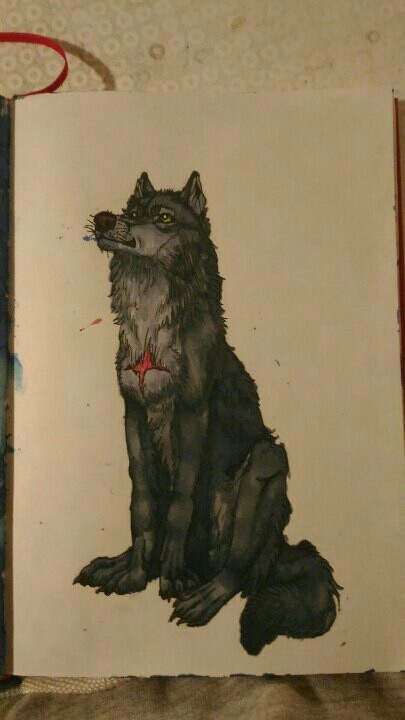 Tsume. - My, Wolf, Drawing, Order, Anime, Longpost