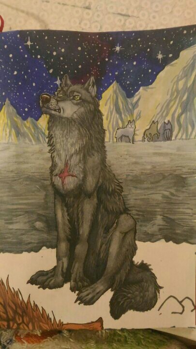 Tsume. - My, Wolf, Drawing, Order, Anime, Longpost