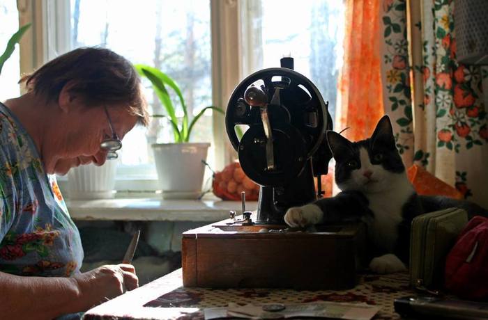 Heat - Grandmother, , Sewing machine, The photo, cat