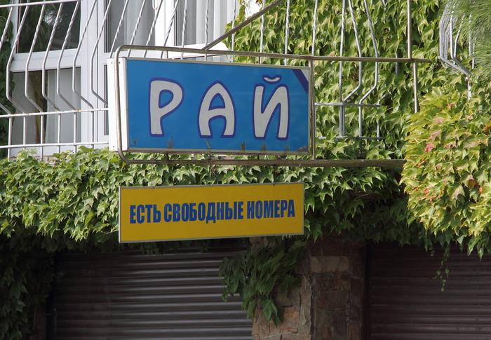 �����������. �������. ������ �������.