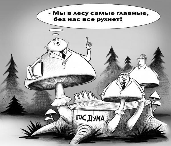 Поганки | Пикабу