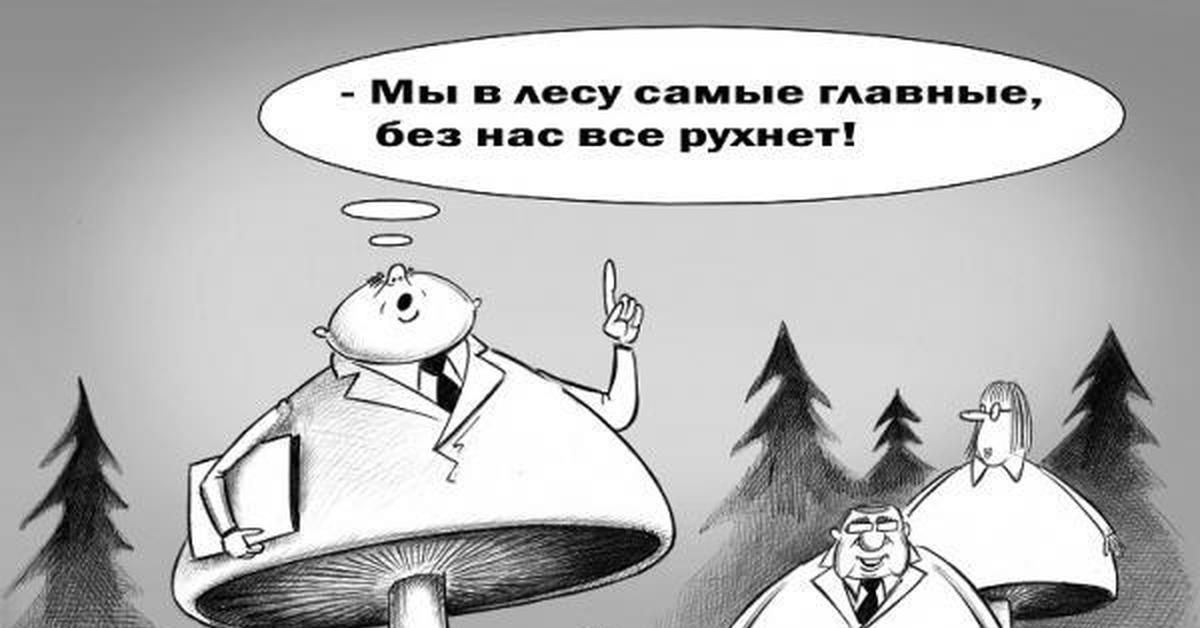 Поганки | Пикабу