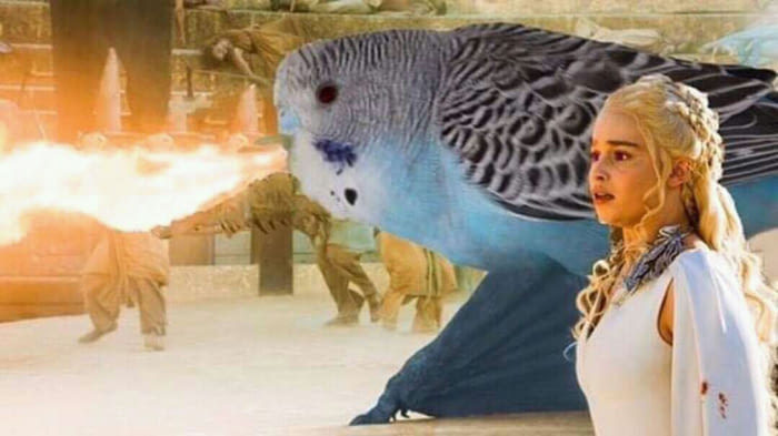 Дени продолжает искать особых бойцов для своей армии