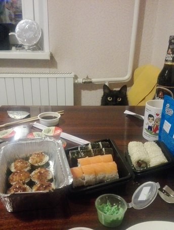 An evening with your loved one - My, cat, Darling, Get-togethers, Favorite