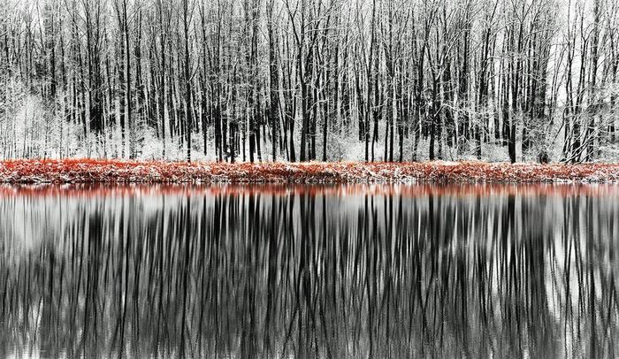 Czech Republic, near Prague - Czech, beauty of nature, Lake, Forest, 