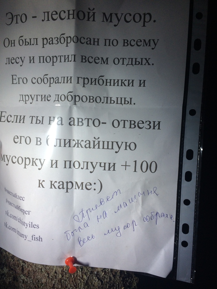 Чистый лес. Итоги очередной недели субботников. - Моё, Лес, Чистомэн, Лига чистомэна, Субботник, Длиннопост