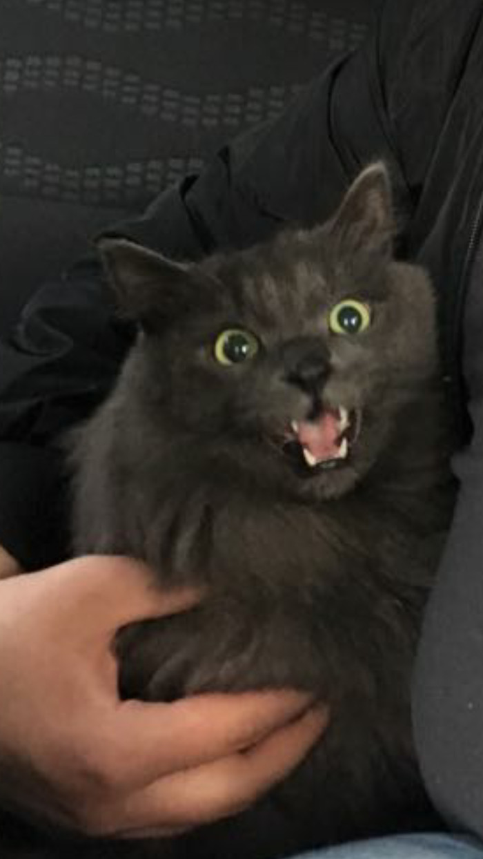 ��� ��� �� ����� ����� ������ � ������