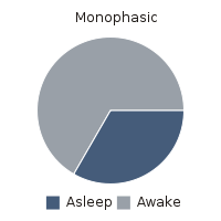 Polyphasic sleep. Day 1 - My, Dream, Mode, polyphasic sleep, cat, Longpost