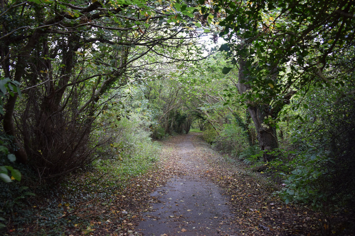 Overnight Walk in Wales(1) - Longpost, Walk, The mountains, My, The hills, The photo