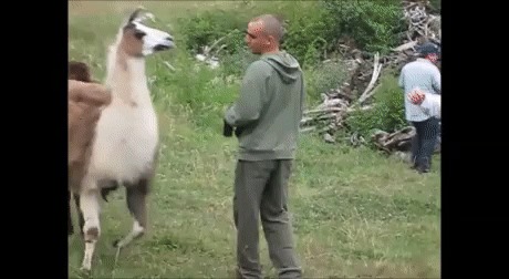      ?