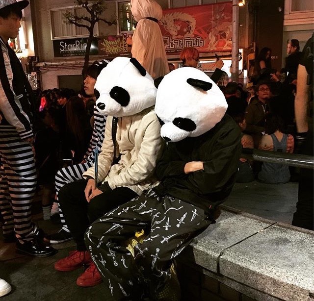 bored pandas - Panda, 