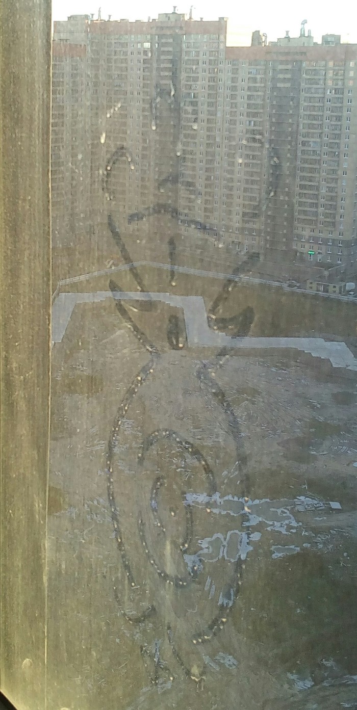 Hello everyone) I wake up in the morning, sunny, but frosty, as sometimes happens in St. Petersburg. And I see this sign on the balcony - My, Mystic, Signs, Help me find, 