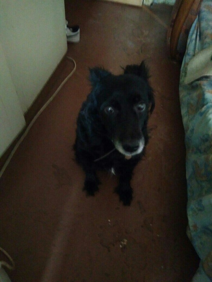 Ребята, помогите фон на фото поменять.