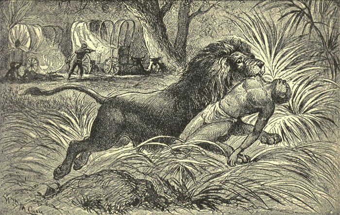 �������� �� "����� ������� - � ������� �� ������"