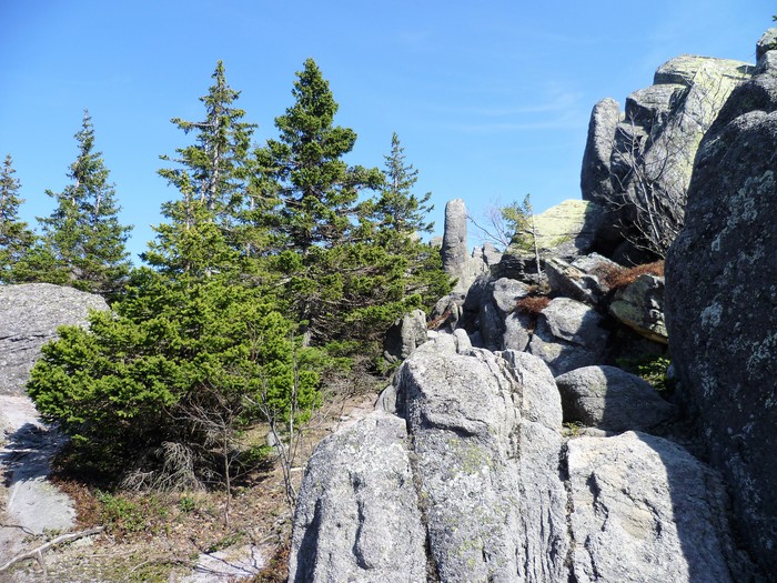 Долина сказок таганай фото