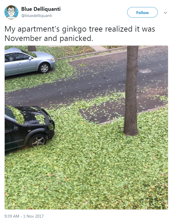    ,     . , , , 