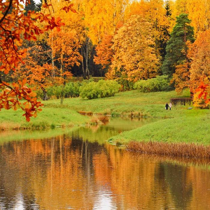 Павловск. Санкт-Петербург