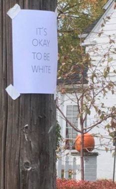 Being white is normal - flash mob in the USA - Halloween, Racism, White, 4chan, USA, Longpost