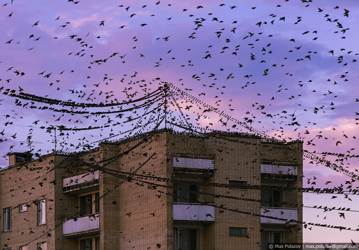 Немного красивой Москвы (часть 2) - Моё, Фотография, Закат, Max Polazov, Москва, Длиннопост, Подборка, Крыша