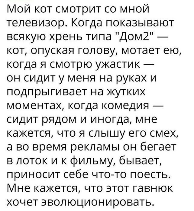 Не думаю что можно эволюционировать от телевизора. - Кот, Эволюция, Телевизор