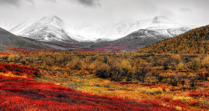 Polar Urals - My, Ural, Polar Urals, The photo, Ural mountains, The mountains, Tundra