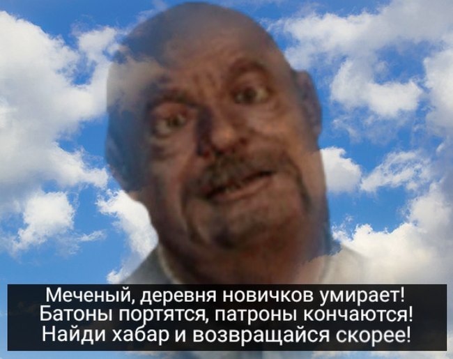 It seems Sidorovich tried Khakunin's mushrooms - Old games and memes, Stalker, Fallout 2, Fallout, , Sidorovich