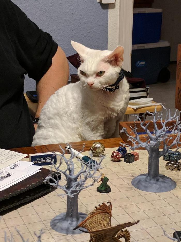   , Dungeons & Dragons, 