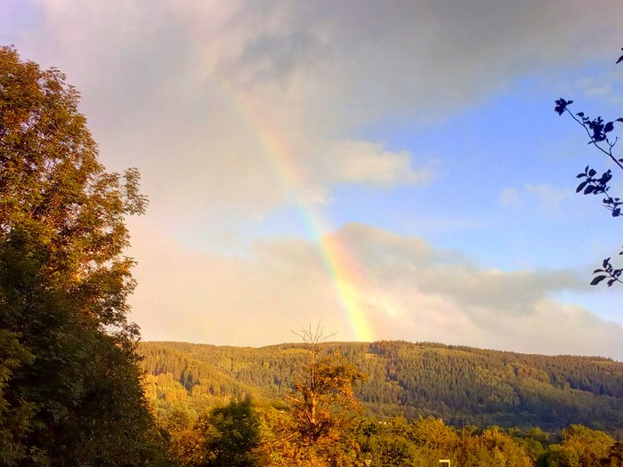 autumn smile - Autumn, My, The photo, Rainbow