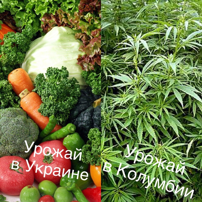   , , 