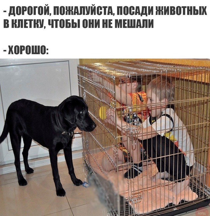 ����� ��������� �������� � ������