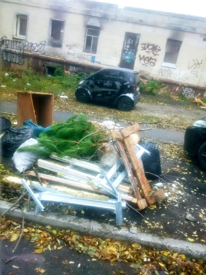 Record broken. 3.11.17 Dnipro - My, Threw away the tree, Record, New Year, Humor