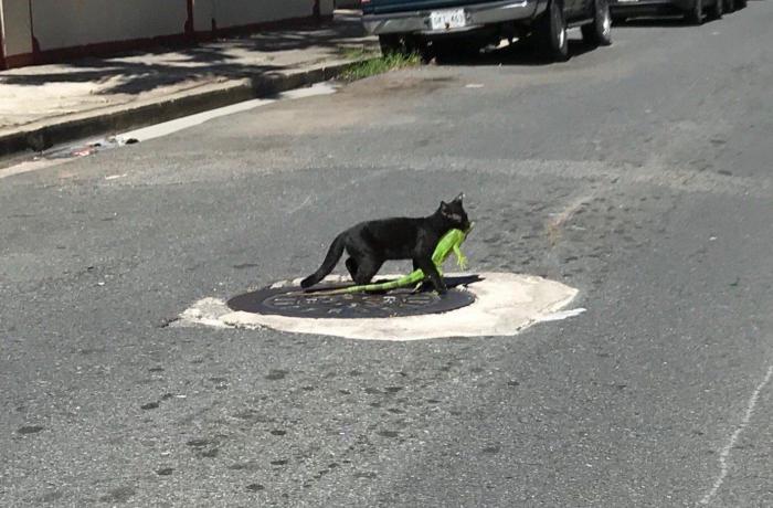 ��� �� � � ������� ���