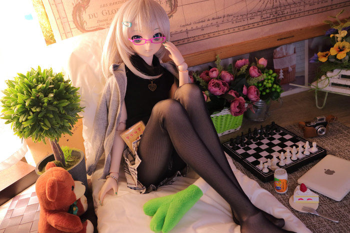 DollfieDream -   Dollfiedream, ,  