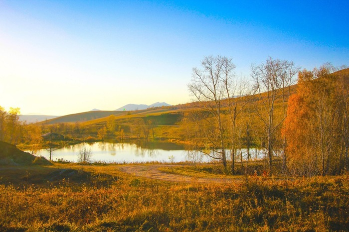 Autumn, Altai, Terraalta. How beautiful is this world! - My, , Altai, Mountain Altai, Longpost, Altai Republic