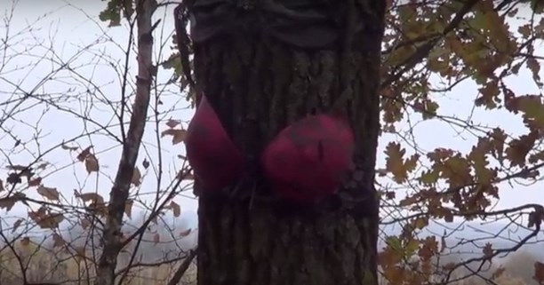 Tulyak found a ritual alley with lingerie on the trees near Shatsk - Tula, Bra, Maniac, Forest