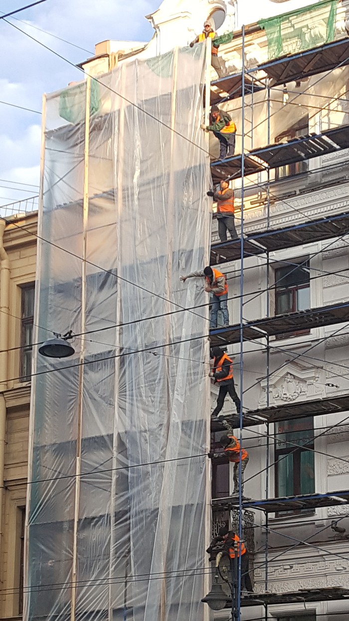 ���� �������. ���