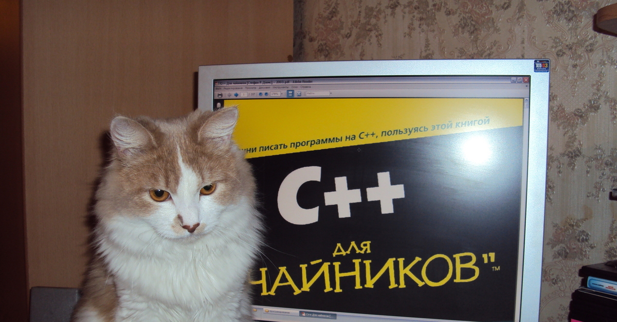 Кот разработчик. Кот программист. Коты и программирование. Коты программисты. Кот Компьютерщик.