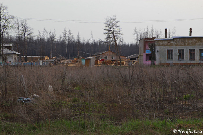 Заброшенные дома сгоревшего поселка Моховое Моховое, Московская область, Заброшенное, Длиннопост, Урбанфото