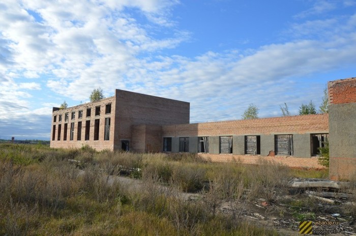 Заброшенные дома сгоревшего поселка Моховое Моховое, Московская область, Заброшенное, Длиннопост, Урбанфото