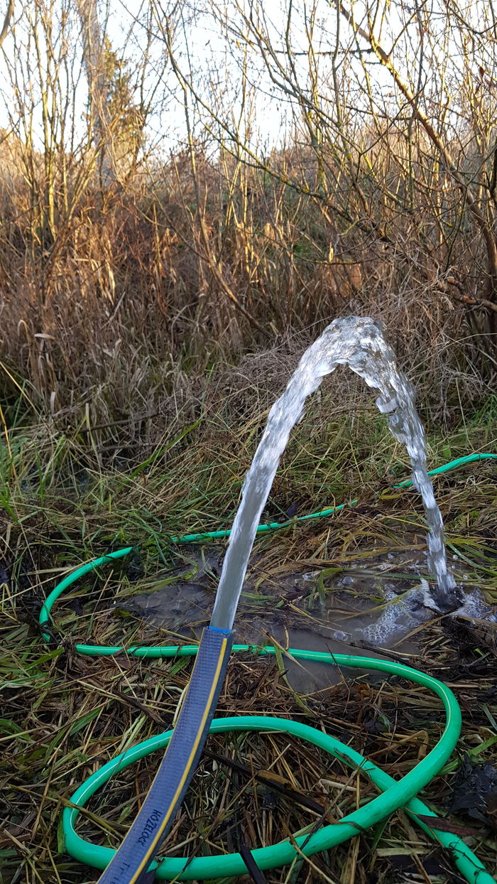 What color is the hose? - Mystery, My, Optical illusions