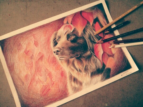 I'm doing! - My, Drawing, Pencil drawing, Dog, Art